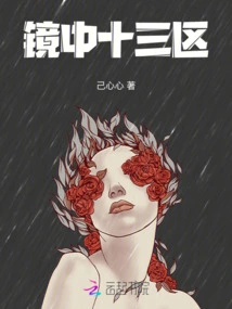 District 13 in the Mirror