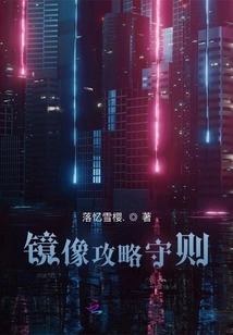 Mirror Strategy Guidelines