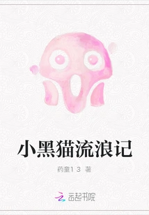 The Wandering Little Black Cat