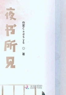 What I Saw in the Night Book