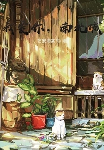 I Love You, North and South City