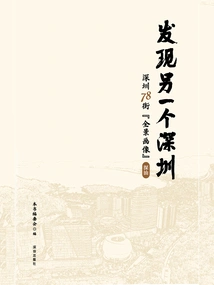 Discover Another Shenzhen: "panorama" on Shenzhen 78th Street (shenzhen)