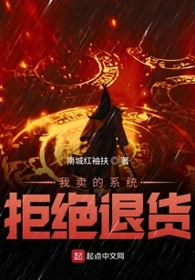 The System I Sold Refused to Return the Goods