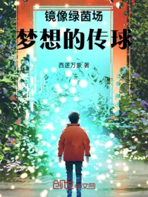 Mirrored Green Field: the Dream Pass