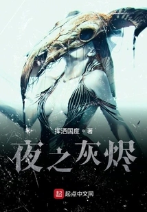 Curtain of the Night