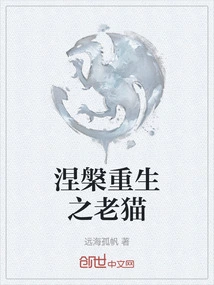 Nirvana and Rebirth of the Old Cat