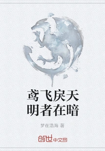 The Kite Flies and the Sky is Violent, the Bright One is in the Dark