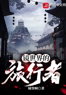 Mirror World Traveler