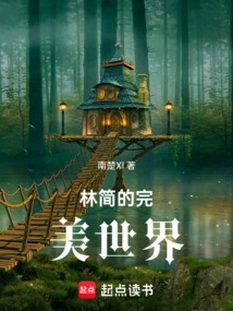 Lin Jian's Perfect World