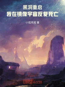 Black Hole Reboot: I Died Repeatedly in the Mirror Universe