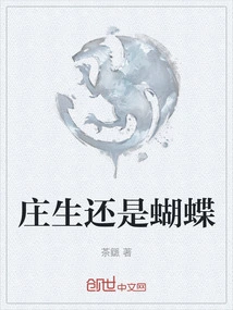 Zhuang Sheng or a Butterfly?