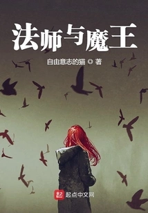 Wizard and Demon King