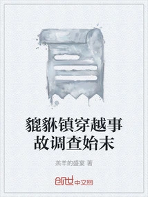 Investigation into the Crossing Accident in Pixiu Town