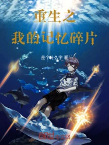 The Memory Fragments of My Rebirth