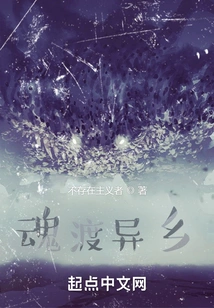 Soul in a Foreign Land