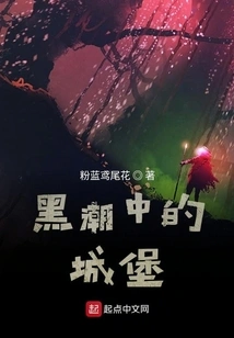 Castle in the Dark Tide