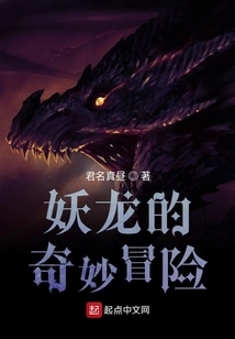 The Bizarre Adventure of the Dragon