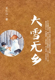 Heavy Snow and No Country