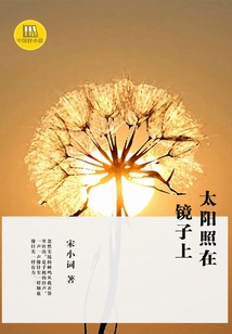 The Sun Shines in the Mirror (a Good Chinese Novel)
