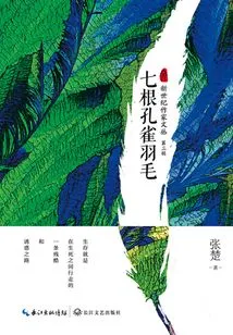 Seven Peacock Feathers