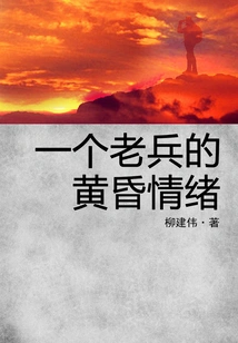 A Veteran's Twilight Mood