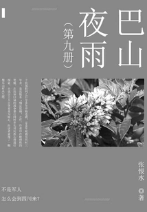 Bashan Night Rain (9)