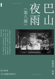 Bashan Night Rain (8)