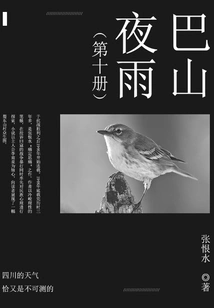 Bashan Night Rain (10)