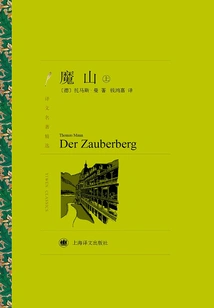 The Magic Mountain (part 1) (selected Translations of Famous Works)