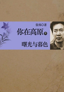 You Are in Plateau 8: Dawn and Dusk