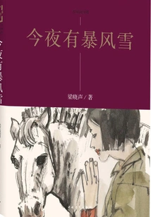 There's a Snowstorm Tonight