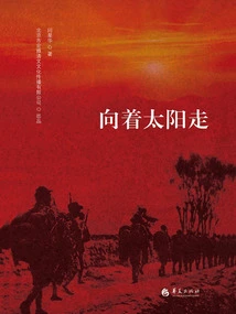 Walk Towards the Sun