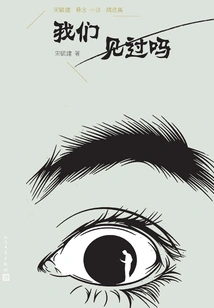 Have We Met: Selected Collection of Suspense Novels by Song Yujian