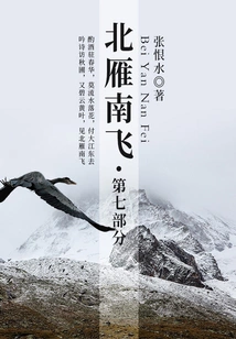 Wild Geese Flying to the South·part 7 (zhang Henshui's Classic Novel)