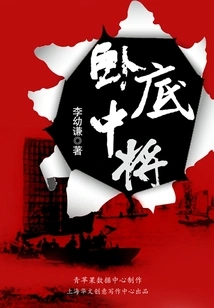 Undercover Lieutenant General