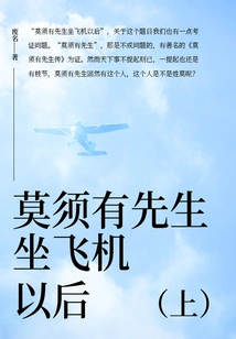 After Mr. Mo Xuyou Takes the Plane (part 1)