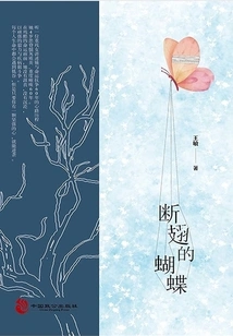 Broken Wing Butterfly