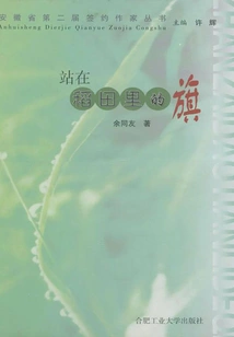 Flag Standing in Rice Field