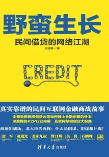 Wild Growth: the Online World of Private Lending