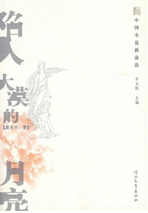 The Moon Sinks into the Desert