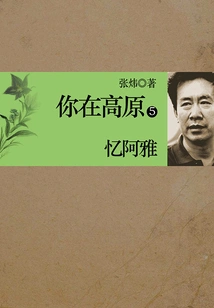 You Are in Plateau 5: Remembering Aya