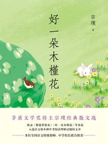 What a Hibiscus Flower