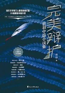 Perfect Defense: a Collection of Novellas by Bi Yu