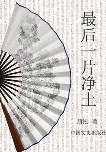 The Last Piece of Pure Land