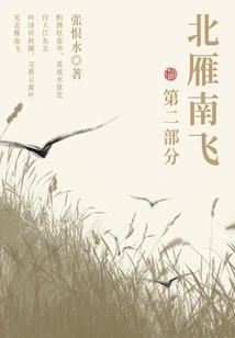 Wild Geese Flying South Part 2 (zhang Henshui's Classic Novel)