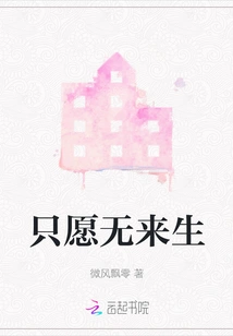 I Just Wish There Would Be No Future Life