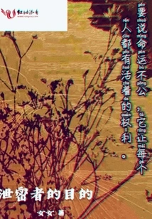 The Purpose of the Leaker