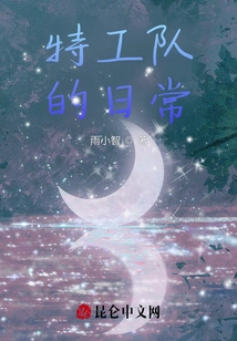 The Daily Life of the Special Agent Team