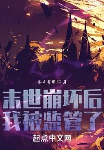 I Was Supervised after the Collapse of the Apocalypse