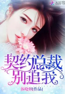 Contract Ceo, Don't Chase Me!